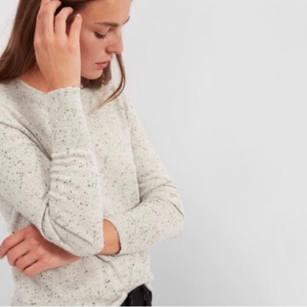 Everlane Cashmere Crew Sweater - Frost Donegal